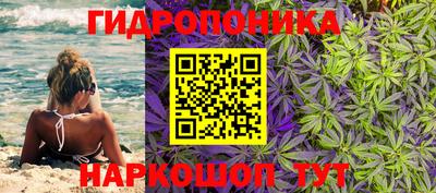 стаф Каменск-Шахтинский