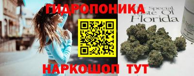 стаф Каменск-Шахтинский