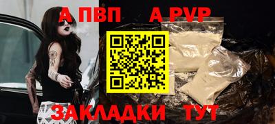 стаф Каменск-Шахтинский