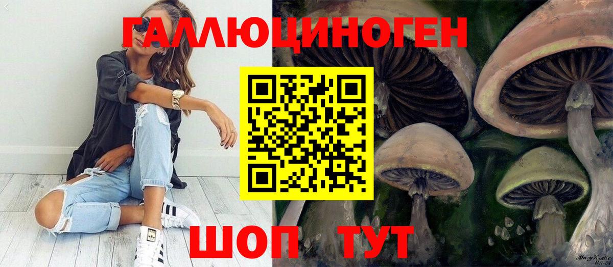 Псилоцибиновые грибы мухоморы Северск
